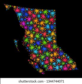 Bright vector marijuana British Columbia map mosaic on a black background. Concept with psychedelic weed leaves for marijuana legalize campaign.
