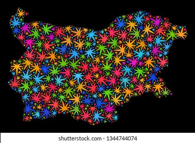 Bright vector marijuana Bulgaria map mosaic on a black background. Concept with colored weed leaves for weed legalize campaign. Vector Bulgaria map is constructed with weed leaves.