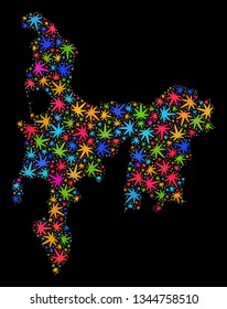 Bright vector marijuana Hamilton Island map mosaic on a black background. Template with psychedelic weed leaves for marijuana legalize campaign.