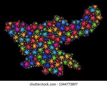 Bright vector marijuana Jharkhand State map mosaic on a black background. Template with bright herbal leaves for marijuana legalize campaign.