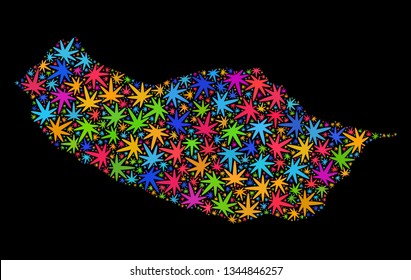Bright vector marijuana Madeira map collage on a black background. Concept with bright weed leaves for marijuana legalize campaign. Vector Madeira map is created with cannabis leaves.