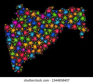 Bright vector marijuana Maharashtra State map collage on a black background. Template with psychedelic herbal leaves for weed legalize campaign.