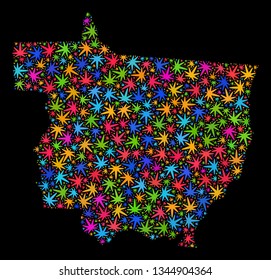 Bright vector marijuana Mato Grosso State map mosaic on a black background. Concept with colored weed leaves for weed legalize campaign. Vector Mato Grosso State map is designed with weed leaves.