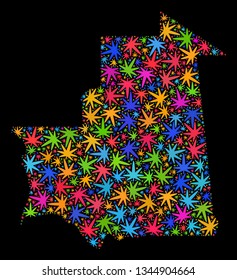 Bright vector marijuana Mauritania map collage on a black background. Template with bright weed leaves for weed legalize campaign. Vector Mauritania map is formed with weed leaves.