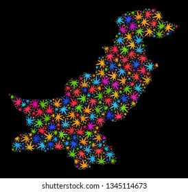 Bright vector marijuana Pakistan map collage on a black background. Template with colored herbal leaves for marijuana legalize campaign. Vector Pakistan map is composed with marijuana leaves.