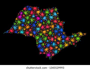 Bright vector marijuana Sao Paulo State map mosaic on a black background. Concept with bright herbal leaves for marijuana legalize campaign. Vector Sao Paulo State map is designed with herbal leaves.