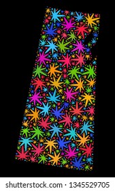 Bright vector marijuana Saskatchewan Province map collage on a black background. Template with psychedelic herbal leaves for weed legalize campaign.
