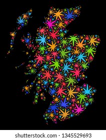 Bright vector marijuana Scotland map mosaic on a black background. Template with colorful weed leaves for marijuana legalize campaign. Vector Scotland map is created with marijuana leaves.