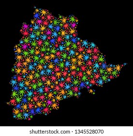 Bright vector marijuana Telangana State map mosaic on a black background. Concept with colored weed leaves for weed legalize campaign. Vector Telangana State map is constructed with marijuana leaves.
