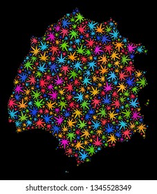 Bright vector marijuana Thassos Island map mosaic on a black background. Concept with psychedelic weed leaves for weed legalize campaign. Vector Thassos Island map is designed with weed leaves.