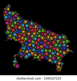 Bright vector marijuana Uttar Pradesh State map mosaic on a black background. Template with bright weed leaves for marijuana legalize campaign.