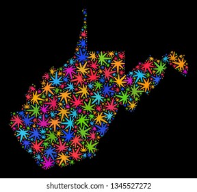 Bright vector marijuana West Virginia State map collage on a black background. Concept with colored weed leaves for marijuana legalize campaign.