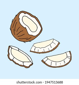Bright vector pattern with pieces of coconut.