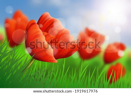 Bright vector poppies. Spring vector, blurred background. Bokeh effect, sun rays.