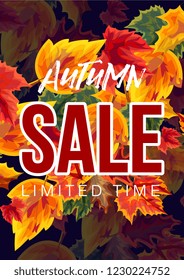 Bright vector poster with graphic colorful leaves and autumn sale promotion 