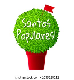 Bright vector realistic manjerico plant in red pot. Santos Populares logotype. Great for logo, invitation, card, product packaging, header, poster, label, banners. Translation: Popular Saints