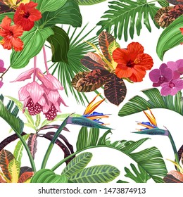 Bright vector seamless pattern of tropical flowers and leaves with many details. Hibiscus, strelitzia, medinilla, orchids on a white background.