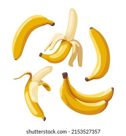 Conjunto de vectores luminosos de racimos de plátano fresco. Dulce caricatura simple, banana pelada y pandillas de bananas aisladas de fondo blanco.