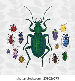Bright vector set with colorful bugs. Drawing of beetles. Insect on the background with gray leaves. Cartoon bug illustration.