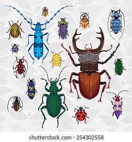 Bright vector set with colorful bugs. Drawing of beetles. Insect on the background with gray leaves. Cartoon bug illustration.