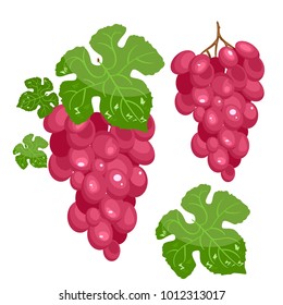 Bright vector set of colorful cartoon grapes pink . Fresh cartoon berries isolated on white background.