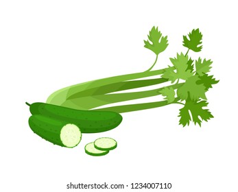 Bright vector set of colorful celery and cucumber. Cartoon organic fresh vegetable isolated on white background used for magazine, book, poster, card, menu cover, web pages.
