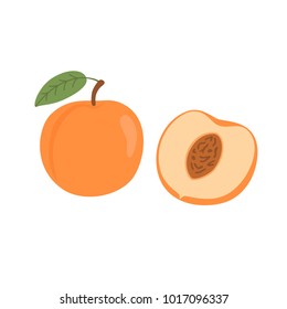 Bright vector set of colorful half and whole of juicy peach. Fresh cartoon peaches isolated on white background.