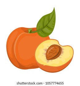 Bright vector set of colorful half and whole of juicy peach. Fresh cartoon peaches isolated on white background. Juice or jam logotype. Best for textile, wrapping paper.