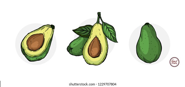 Bright vector set of colorful half, slice and whole of fresh avocado. Fresh cartoon avocados isolated on white background.