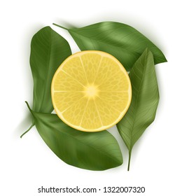 Bright vector set of colorful half, slice of Lemon. Fresh realistic slice of Lemon with leaves on white background. Top view, Vector EPS 10 illustration