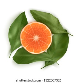 Bright vector set of colorful half, slices of orange. Fresh realistic slice orange or tangerine with leaves on white background. Vector EPS 10 illustration