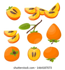 Bright vector set of colorful half, slice and whole of juicy persimmon. Fresh cartoon persimmon isolated on white background. Juice or jam illustration.