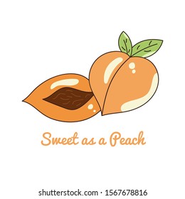 Bright vector set of colorful half and whole of juicy peach with quote "Sweet as a peach". Fresh cartoon peaches isolated on white background. Juice or jam logotype.