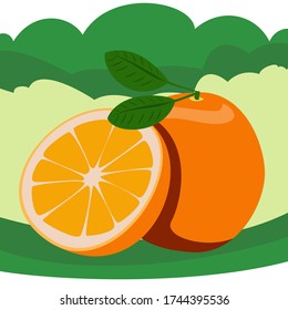 Conjunto vectorial brillante de medio colorido, trozo y segmento de naranja jugoso. Las naranjas de caricaturas frescas sobre fondo blanco.