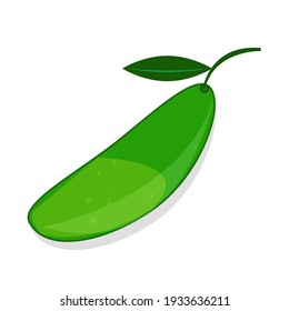 Bright vector set of colorful half, slice and whole of mango. Fresh cartoon exotic fruits isolated on white background and sweet.