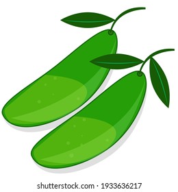 Helle Vektorset aus bunter Hälfte, Scheibe und ganzen Mango. Frischer Cartoon exotische Früchte einzeln auf weißem Hintergrund und süß.