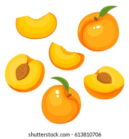 Bright vector set of colorful half, slice and whole of juicy peach. Fresh cartoon peaches isolated on white background. Juice or jam logotype.
