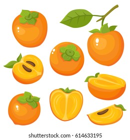 Bright vector set of colorful half, slice and whole of juicy persimmon. Fresh cartoon persimmon isolated on white background. Juice or jam logotype.