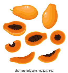 Bright vector set of colorful half, slice and whole of papaya. Fresh cartoon exotic fruit isolated on white background.