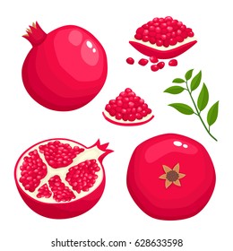 Bright vector set of colorful half, slice and whole of juice pomegranate. Fresh cartoon fruit isolated on white background.