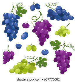 Bright vector set of colorful half, slice and whole of juice grapes. Fresh cartoon berry isolated on white background.