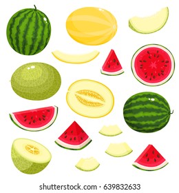 Bright vector set of colorful half, slice and whole of melon, watermelon. Fresh cartoon exotic fruit isolated on white background.