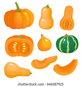 Bright vector set of colorful half, slice and whole of pumpkins. Fresh cartoon different vegetable isolated on white background.