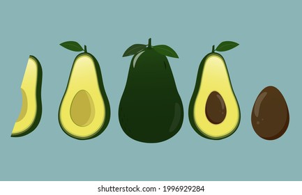 
Bright vector set of fresh avacado colorful half, slice and whole. Avocados with blue background.
