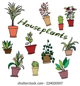 Bright vector set of house plants in pots with an inscription. Illustration