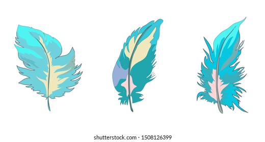 Bright vector set of stylized abstract feathers isolated
