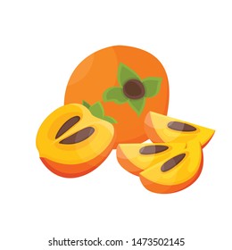 Bright vector slice and the whole of juicy persimmon. Fresh cartoon persimmon isolated on white background. Juice or jam illustration.