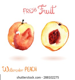 Bright Vector Watercolor Fruit Peach