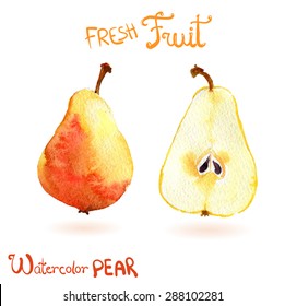 Bright vector watercolor fruit pear