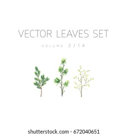 Bright vector watercolor leaf isolated on white background